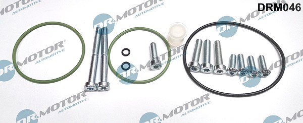 Dr.motor Automotive Reparatursatz, Unterdruckpumpe (Bremsanlage) [Hersteller-Nr. DRM046] für Audi