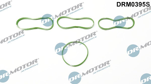 Dr.motor Automotive Dichtungssatz, Ansaugkrümmer [Hersteller-Nr. DRM0395S] für Ford