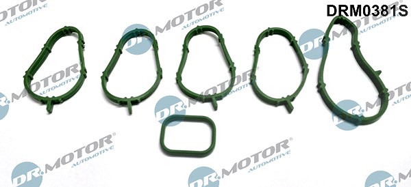 Dr.motor Automotive Dichtungssatz, Ansaugkrümmer [Hersteller-Nr. DRM0381S] für Lancia, Fiat