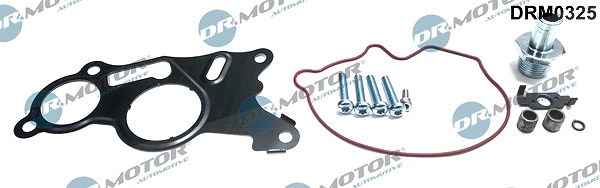 Dr.motor Automotive Reparatursatz, Unterdruckpumpe (Bremsanlage) [Hersteller-Nr. DRM0325] für Skoda, Seat, VW, Audi