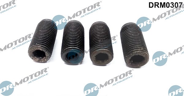 Dr.motor Automotive Justierschraube, Einspritzpumpe [Hersteller-Nr. DRM0307] für Audi, Ford, VW, Skoda, Seat