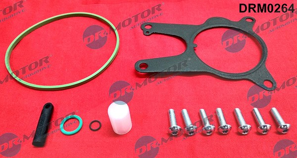 Dr.motor Automotive Reparatursatz, Unterdruckpumpe (Bremsanlage) [Hersteller-Nr. DRM0264] für Fiat, Lancia, Opel, Alfa Romeo, Saab