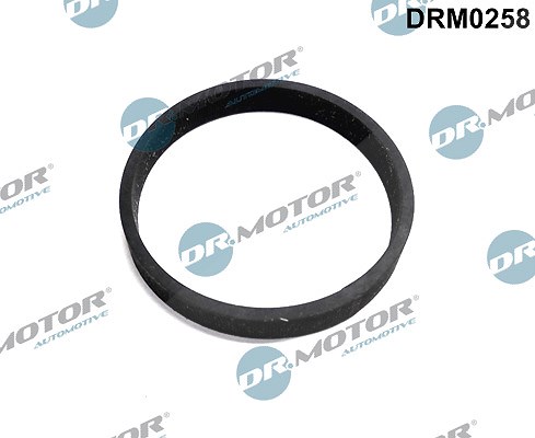 Dr.motor Automotive Dichtung, Turbineneinlass (Lader) [Hersteller-Nr. DRM0258] für Ford, Volvo
