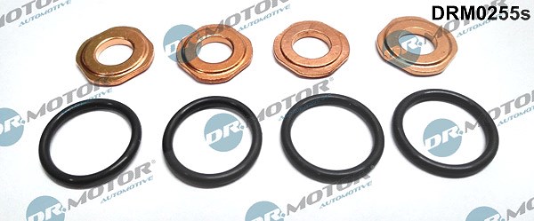 Dr.motor Automotive Dichtungssatz, Einspritzdüse [Hersteller-Nr. DRM0255S] für Vauxhall, Opel