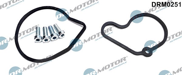 Dr.motor Automotive Reparatursatz, Unterdruckpumpe (Bremsanlage) [Hersteller-Nr. DRM0251] für Skoda, Audi, Seat, VW