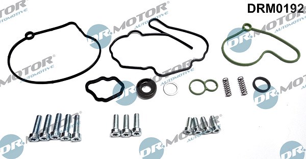 Dr.motor Automotive Reparatursatz, Unterdruckpumpe (Bremsanlage) [Hersteller-Nr. DRM0192] für Ford, Audi, Seat, VW, Skoda