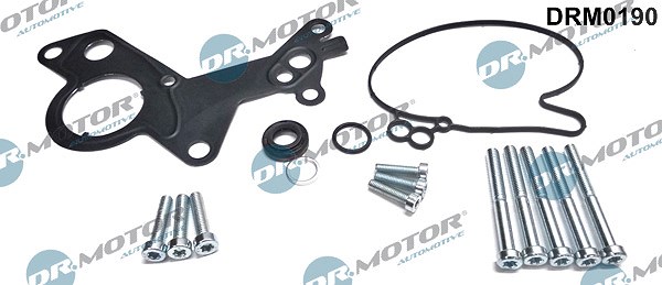 Dr.motor Automotive Reparatursatz, Unterdruckpumpe (Bremsanlage) [Hersteller-Nr. DRM0190] für Audi, Seat, VW, Ford, Skoda