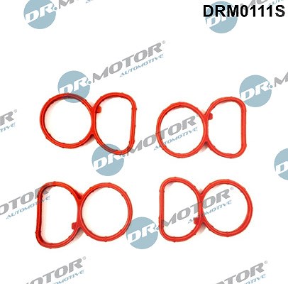 Dr.motor Automotive Dichtungssatz, Ansaugkrümmer [Hersteller-Nr. DRM0111S] für BMW, Alpina
