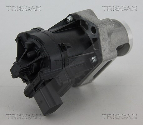 Triscan AGR-Ventil [Hersteller-Nr. 881310006] für Suzuki, Jeep, Chrysler, Lancia, Cadillac, Fiat, Alfa Romeo, Saab