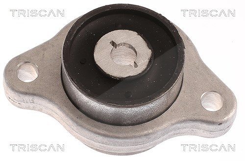 Triscan Lagerung, Lenker [Hersteller-Nr. 850023888] für Mercedes-Benz