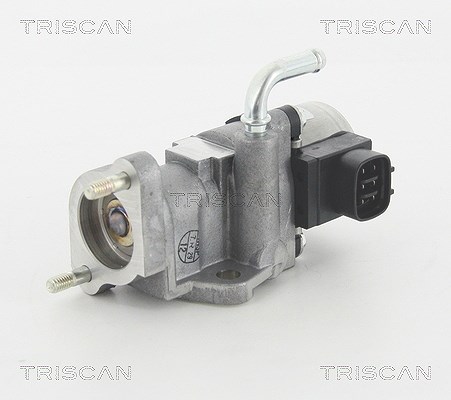 Triscan AGR-Ventil [Hersteller-Nr. 881313002] für Toyota