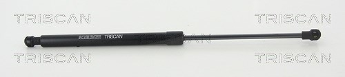 Triscan Gasfeder, Heckscheibe [Hersteller-Nr. 871025275] für Renault