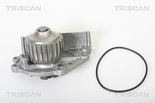 Triscan Wasserpumpe [Hersteller-Nr. 860017963] für Rover