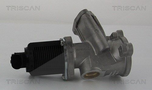 Triscan AGR-Ventil [Hersteller-Nr. 881324204] für Suzuki, Vauxhall, Opel