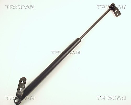 Triscan Gasfeder, Koffer-/Laderaum [Hersteller-Nr. 871050222] für Mazda
