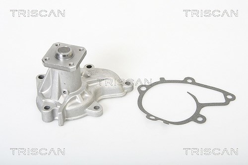 Triscan Wasserpumpe [Hersteller-Nr. 860014892] für Nissan