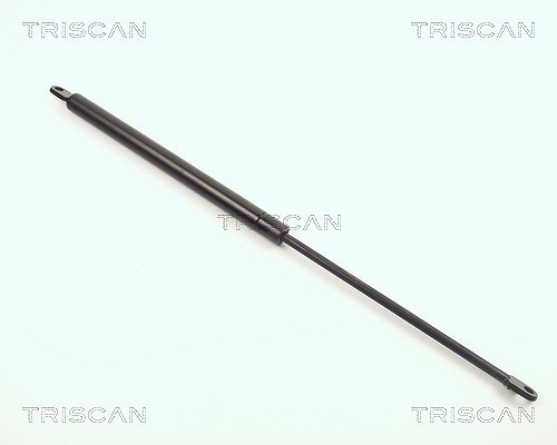 Triscan Gasfeder, Motorhaube [Hersteller-Nr. 87101012] für Audi