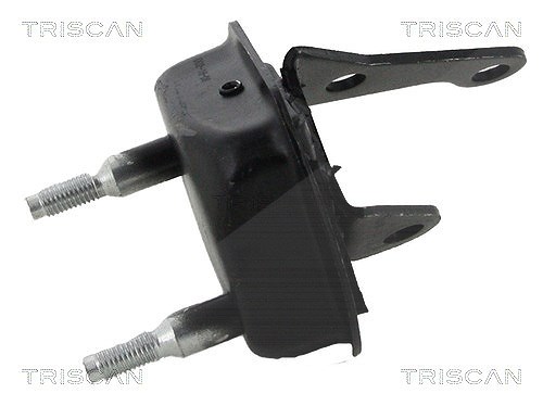 Triscan Lagerbock, Achskörper [Hersteller-Nr. 850028533] für Citroën, Peugeot