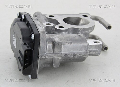 Triscan AGR-Ventil [Hersteller-Nr. 881313021] für Toyota