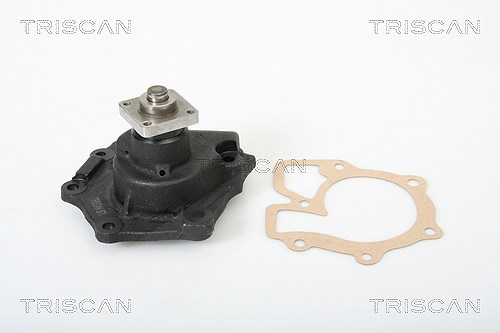 Triscan Wasserpumpe [Hersteller-Nr. 860016836] für Ford