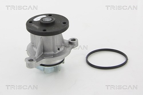Triscan Wasserpumpe [Hersteller-Nr. 860043020] für Kia, Hyundai
