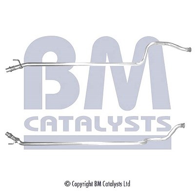 Bm Catalysts Abgasrohr [Hersteller-Nr. BM50463] für Peugeot, Citroën