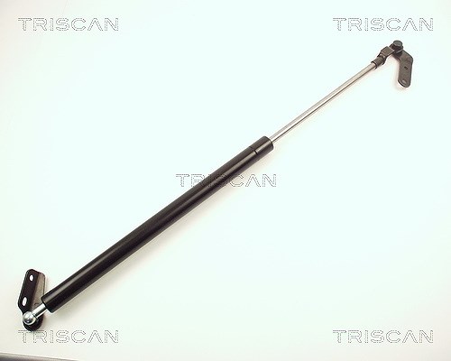 Triscan Gasfeder, Koffer-/Laderaum [Hersteller-Nr. 871013236] für Toyota