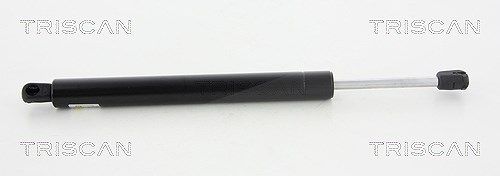Triscan Gasfeder, Koffer-/Laderaum [Hersteller-Nr. 871065210] für Saab