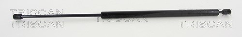 Triscan Gasfeder, Koffer-/Laderaum [Hersteller-Nr. 8710292024] für VW