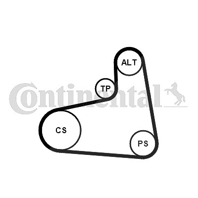 Continental Ctam Keilrippenriemensatz [Hersteller-Nr. 6PK906K3] für Audi, VW, Seat, Skoda
