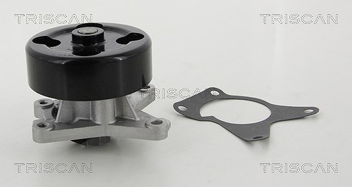 Triscan Wasserpumpe [Hersteller-Nr. 860025092] für Renault, Nissan