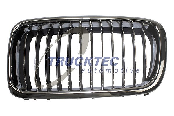 Trucktec Automotive Kühlergitter [Hersteller-Nr. 08.62.297] für BMW