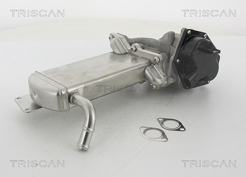 Triscan AGR-Ventil [Hersteller-Nr. 881329305] für VW