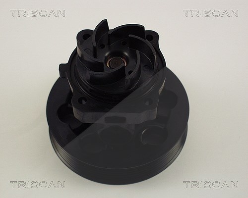 Triscan Wasserpumpe [Hersteller-Nr. 860015030] für Vauxhall, Chrysler, Lancia, Suzuki, Opel, Peugeot, Fiat, Alfa Romeo, Ford, Chevrolet, Subaru, Citro