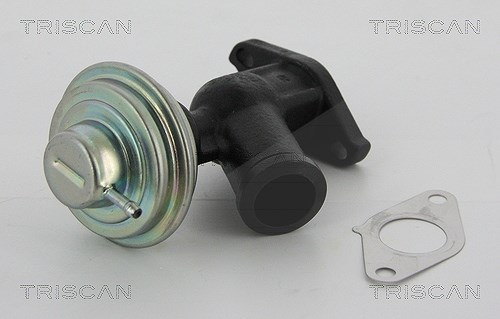 Triscan AGR-Ventil [Hersteller-Nr. 881310011] für Citroën, Fiat, Lancia, Peugeot