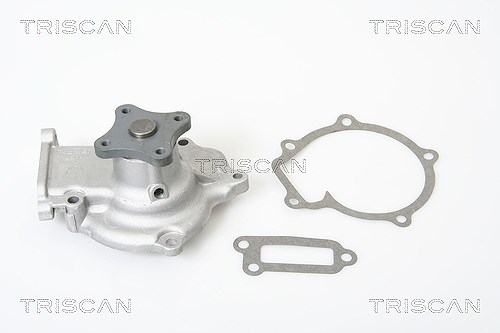 Triscan Wasserpumpe [Hersteller-Nr. 860014927] für Nissan