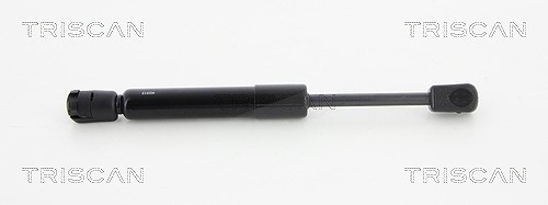 Triscan Gasfeder, Koffer-/Laderaum [Hersteller-Nr. 871023223] für Mercedes-Benz