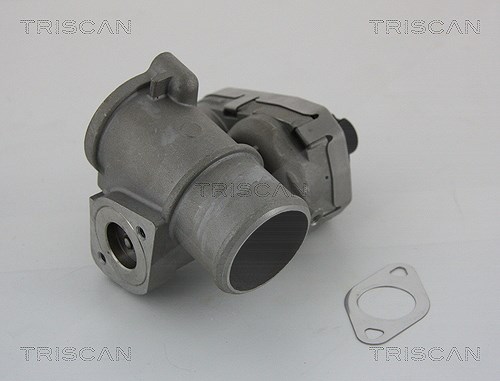 Triscan AGR-Ventil [Hersteller-Nr. 881316101] für Jaguar, Ford