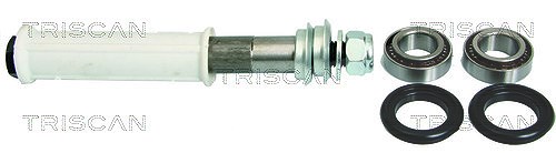 Triscan Reparatursatz, Querlenker [Hersteller-Nr. 850015400] für Alfa Romeo, Fiat, Lancia