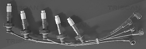 Triscan Zündleitungssatz [Hersteller-Nr. 88606469] für Volvo