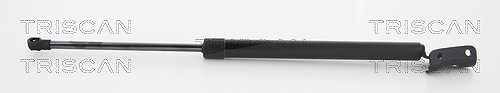 Triscan Gasfeder, Koffer-/Laderaum [Hersteller-Nr. 871010218] für Citroën, Mitsubishi, Peugeot