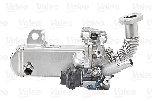 Valeo AGR-Ventil [Hersteller-Nr. 700452] für Nissan