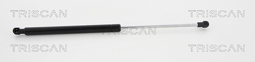Triscan Gasfeder, Koffer-/Laderaum [Hersteller-Nr. 871023233] für Smart