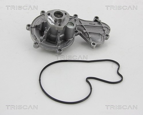 Triscan Wasserpumpe [Hersteller-Nr. 860029058] für VW, Audi
