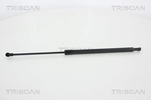 Triscan Gasfeder, Koffer-/Laderaum [Hersteller-Nr. 871025255] für Renault