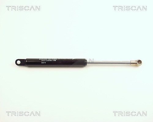 Triscan Gasfeder, Motorhaube [Hersteller-Nr. 871025101] für Renault