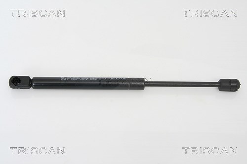 Triscan Gasfeder, Heckkscheibe [Hersteller-Nr. 871028228] für Peugeot