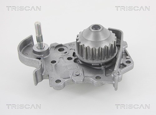Triscan Wasserpumpe [Hersteller-Nr. 860025010] für Dacia, Renault