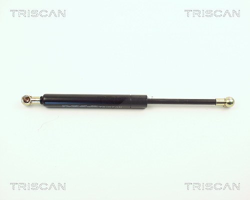 Triscan Gasfeder, Koffer-/Laderaum [Hersteller-Nr. 87101009] für Audi