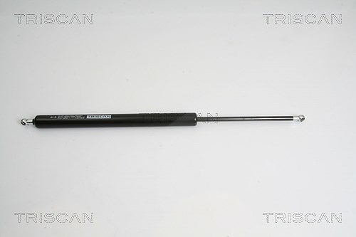 Triscan Gasfeder, Koffer-/Laderaum [Hersteller-Nr. 871016244] für Ford